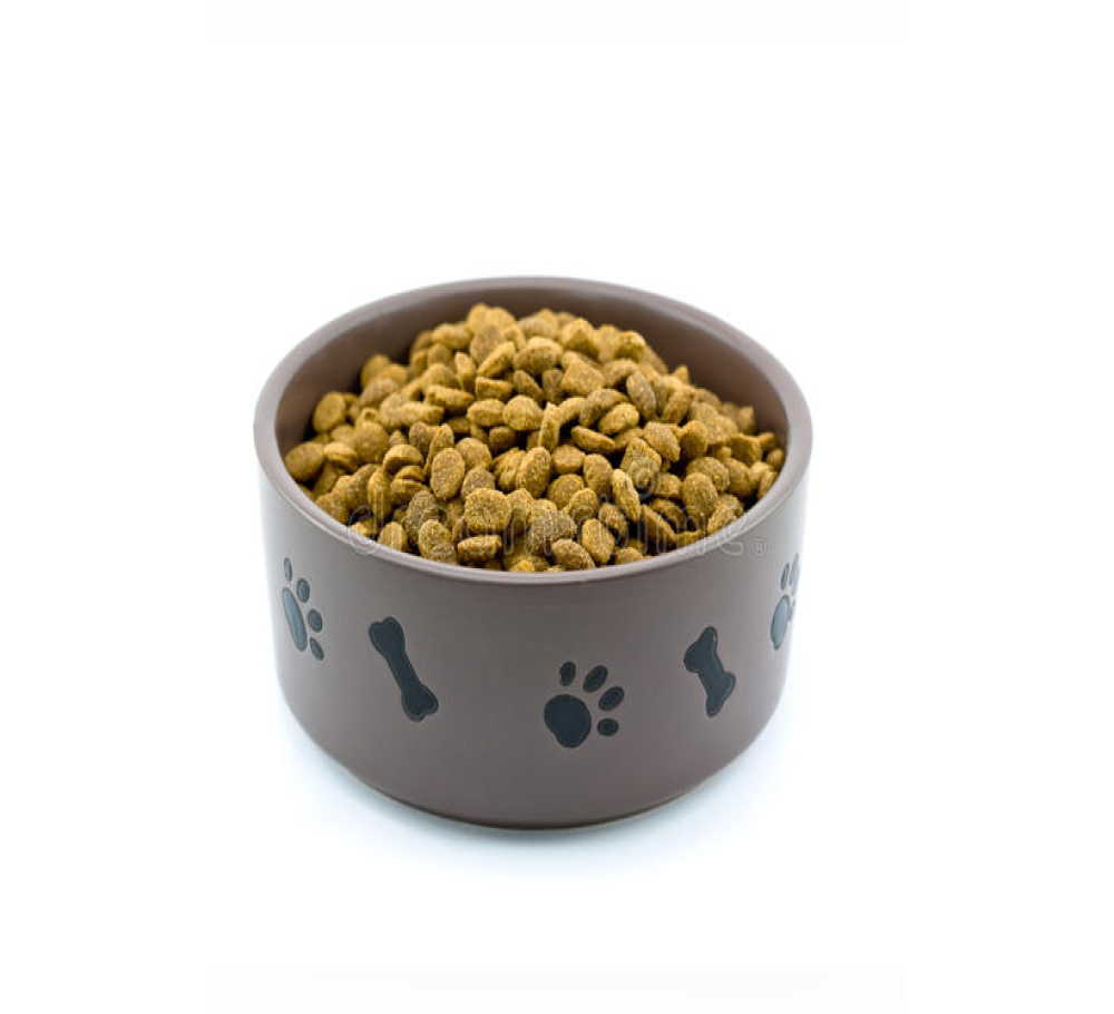 ProDiet Kitten premium Ocean Fish & Milk - Copy