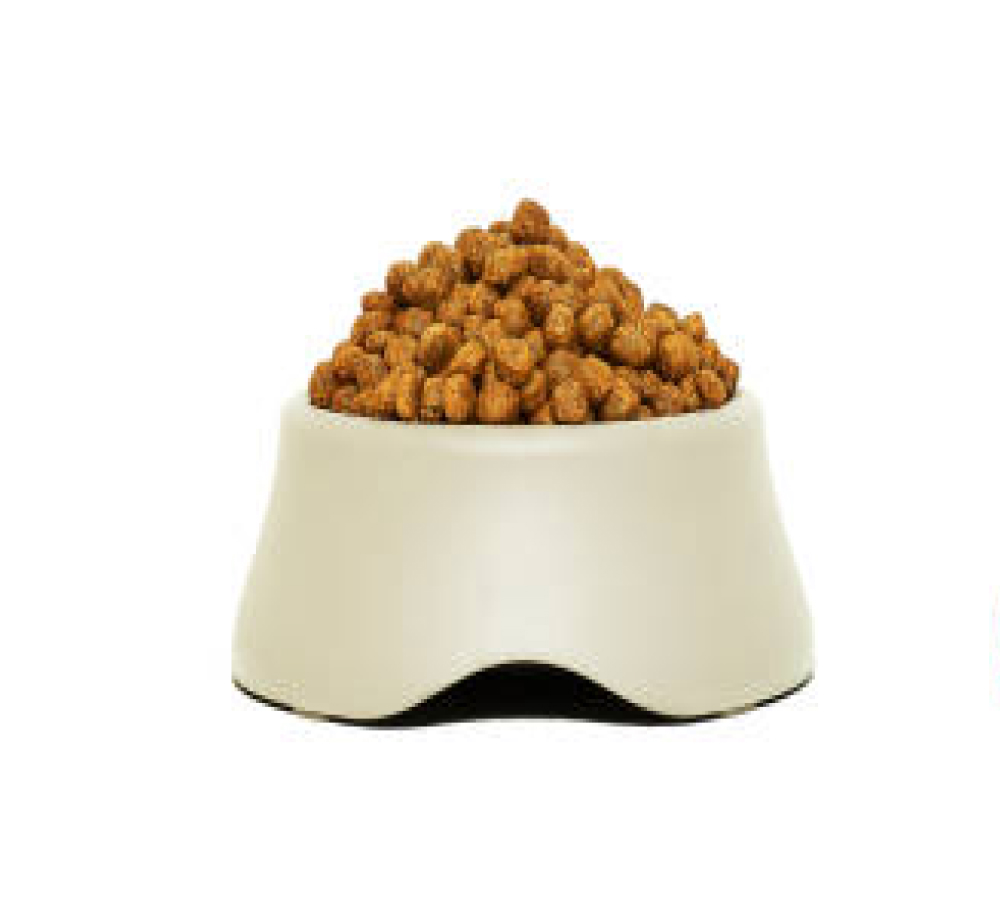 Ocean Fish & Milk ProDiet Kitten premium - Copy